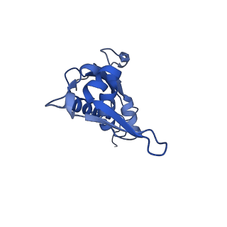 11418_6ztj_BK_v1-1
E. coli 70S-RNAP expressome complex in NusG-coupled state (38 nt intervening mRNA)