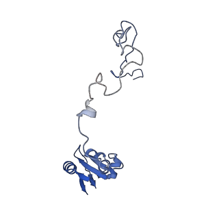 11418_6ztj_BM_v1-1
E. coli 70S-RNAP expressome complex in NusG-coupled state (38 nt intervening mRNA)