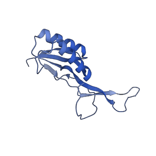 11418_6ztj_BN_v1-1
E. coli 70S-RNAP expressome complex in NusG-coupled state (38 nt intervening mRNA)