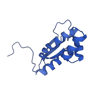 11418_6ztj_BO_v1-1
E. coli 70S-RNAP expressome complex in NusG-coupled state (38 nt intervening mRNA)