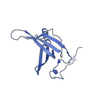 11418_6ztj_BQ_v1-1
E. coli 70S-RNAP expressome complex in NusG-coupled state (38 nt intervening mRNA)
