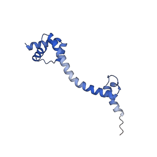 11418_6ztj_BR_v1-1
E. coli 70S-RNAP expressome complex in NusG-coupled state (38 nt intervening mRNA)