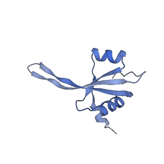 11418_6ztj_BU_v1-1
E. coli 70S-RNAP expressome complex in NusG-coupled state (38 nt intervening mRNA)