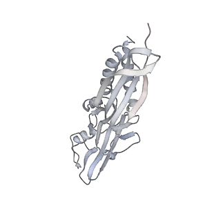 11418_6ztj_CA_v1-1
E. coli 70S-RNAP expressome complex in NusG-coupled state (38 nt intervening mRNA)