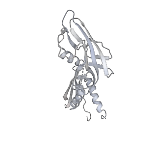 11418_6ztj_CB_v1-1
E. coli 70S-RNAP expressome complex in NusG-coupled state (38 nt intervening mRNA)