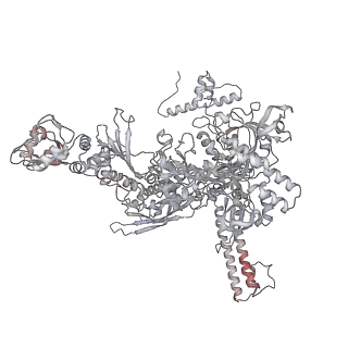 11418_6ztj_CC_v1-1
E. coli 70S-RNAP expressome complex in NusG-coupled state (38 nt intervening mRNA)