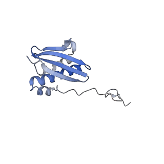11419_6ztl_AI_v1-1
E. coli 70S-RNAP expressome complex in collided state bound to NusG