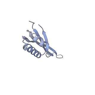 11419_6ztl_AJ_v1-1
E. coli 70S-RNAP expressome complex in collided state bound to NusG