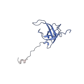 11419_6ztl_AL_v1-1
E. coli 70S-RNAP expressome complex in collided state bound to NusG