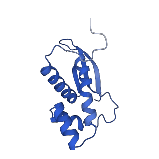 11419_6ztl_BO_v1-1
E. coli 70S-RNAP expressome complex in collided state bound to NusG