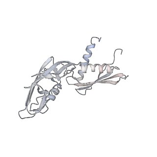 11419_6ztl_CB_v1-1
E. coli 70S-RNAP expressome complex in collided state bound to NusG