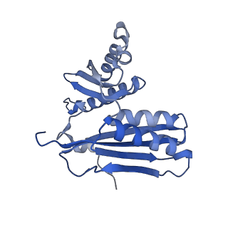 11420_6ztm_AC_v1-1
E. coli 70S-RNAP expressome complex in collided state without NusG