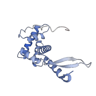 11420_6ztm_AG_v1-1
E. coli 70S-RNAP expressome complex in collided state without NusG