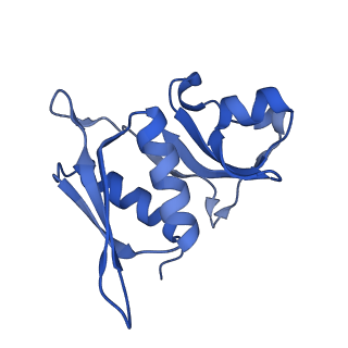 11420_6ztm_AH_v1-1
E. coli 70S-RNAP expressome complex in collided state without NusG