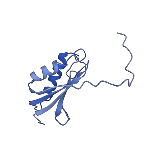 11420_6ztm_AK_v1-1
E. coli 70S-RNAP expressome complex in collided state without NusG