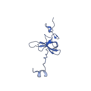 11420_6ztm_AL_v1-1
E. coli 70S-RNAP expressome complex in collided state without NusG