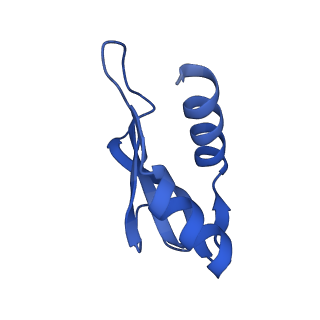 11420_6ztm_AP_v1-1
E. coli 70S-RNAP expressome complex in collided state without NusG