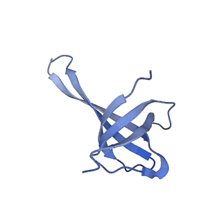 11420_6ztm_AQ_v1-1
E. coli 70S-RNAP expressome complex in collided state without NusG