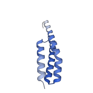 11420_6ztm_AT_v1-1
E. coli 70S-RNAP expressome complex in collided state without NusG