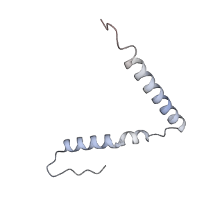 11420_6ztm_AU_v1-1
E. coli 70S-RNAP expressome complex in collided state without NusG