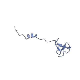 11420_6ztm_B2_v1-1
E. coli 70S-RNAP expressome complex in collided state without NusG