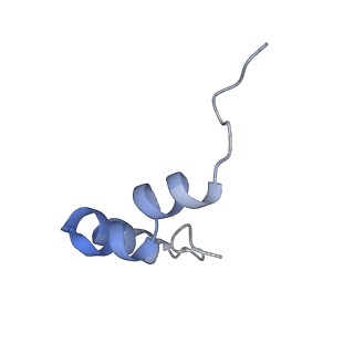 11420_6ztm_B4_v1-1
E. coli 70S-RNAP expressome complex in collided state without NusG