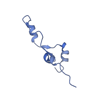 11420_6ztm_B5_v1-1
E. coli 70S-RNAP expressome complex in collided state without NusG