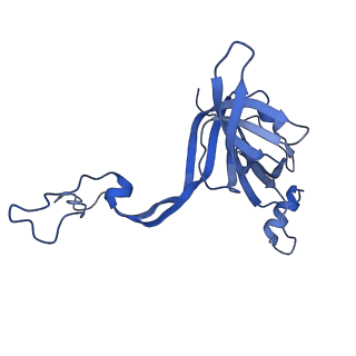 11420_6ztm_BD_v1-1
E. coli 70S-RNAP expressome complex in collided state without NusG