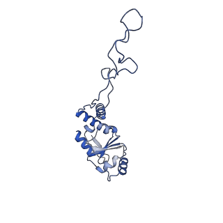 11420_6ztm_BE_v1-1
E. coli 70S-RNAP expressome complex in collided state without NusG