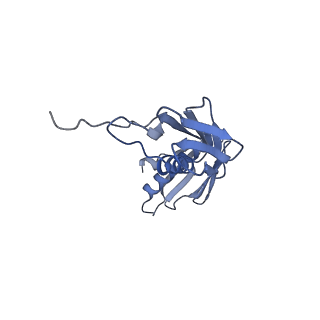 11420_6ztm_BG_v1-1
E. coli 70S-RNAP expressome complex in collided state without NusG