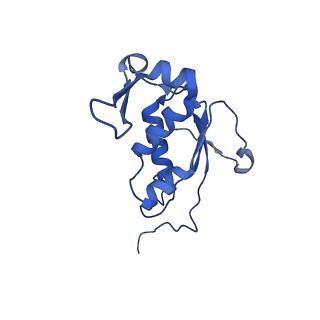11420_6ztm_BK_v1-1
E. coli 70S-RNAP expressome complex in collided state without NusG