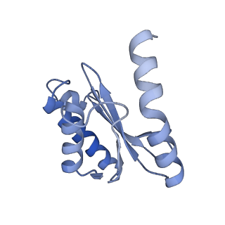 11420_6ztm_BP_v1-1
E. coli 70S-RNAP expressome complex in collided state without NusG