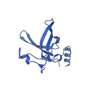 11420_6ztm_BQ_v1-1
E. coli 70S-RNAP expressome complex in collided state without NusG