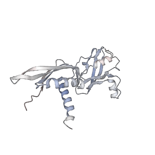 11420_6ztm_CA_v1-1
E. coli 70S-RNAP expressome complex in collided state without NusG