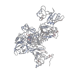11420_6ztm_CC_v1-1
E. coli 70S-RNAP expressome complex in collided state without NusG