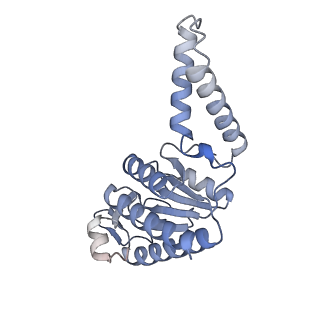11421_6ztn_AB_v1-1
E. coli 70S-RNAP expressome complex in NusG-coupled state (42 nt intervening mRNA)