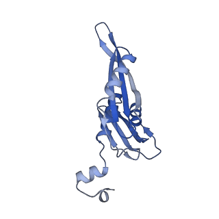 11421_6ztn_AE_v1-1
E. coli 70S-RNAP expressome complex in NusG-coupled state (42 nt intervening mRNA)