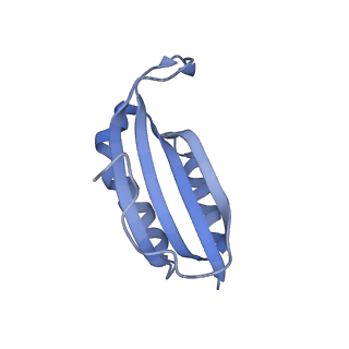 11421_6ztn_AF_v1-1
E. coli 70S-RNAP expressome complex in NusG-coupled state (42 nt intervening mRNA)