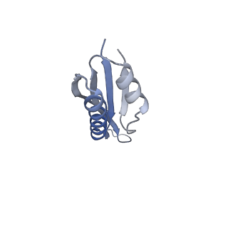 11421_6ztn_AJ_v1-1
E. coli 70S-RNAP expressome complex in NusG-coupled state (42 nt intervening mRNA)