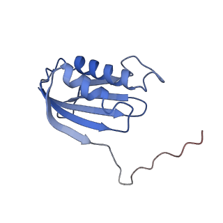 11421_6ztn_AK_v1-1
E. coli 70S-RNAP expressome complex in NusG-coupled state (42 nt intervening mRNA)