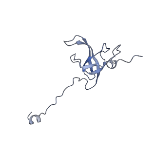 11421_6ztn_AL_v1-1
E. coli 70S-RNAP expressome complex in NusG-coupled state (42 nt intervening mRNA)
