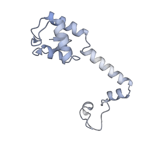 11421_6ztn_AM_v1-1
E. coli 70S-RNAP expressome complex in NusG-coupled state (42 nt intervening mRNA)
