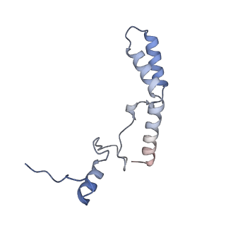11421_6ztn_AN_v1-1
E. coli 70S-RNAP expressome complex in NusG-coupled state (42 nt intervening mRNA)