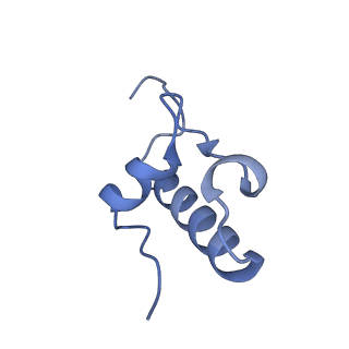 11421_6ztn_AR_v1-1
E. coli 70S-RNAP expressome complex in NusG-coupled state (42 nt intervening mRNA)
