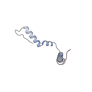 11421_6ztn_AU_v1-1
E. coli 70S-RNAP expressome complex in NusG-coupled state (42 nt intervening mRNA)