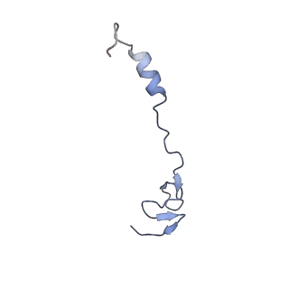 11421_6ztn_B2_v1-1
E. coli 70S-RNAP expressome complex in NusG-coupled state (42 nt intervening mRNA)