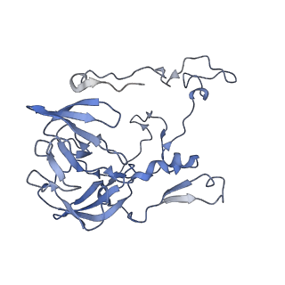 11421_6ztn_BC_v1-1
E. coli 70S-RNAP expressome complex in NusG-coupled state (42 nt intervening mRNA)