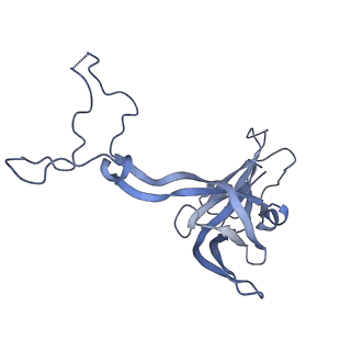 11421_6ztn_BD_v1-1
E. coli 70S-RNAP expressome complex in NusG-coupled state (42 nt intervening mRNA)