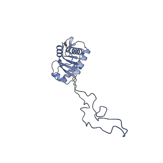 11421_6ztn_BE_v1-1
E. coli 70S-RNAP expressome complex in NusG-coupled state (42 nt intervening mRNA)