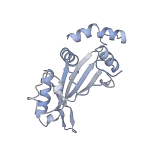 11421_6ztn_BF_v1-1
E. coli 70S-RNAP expressome complex in NusG-coupled state (42 nt intervening mRNA)